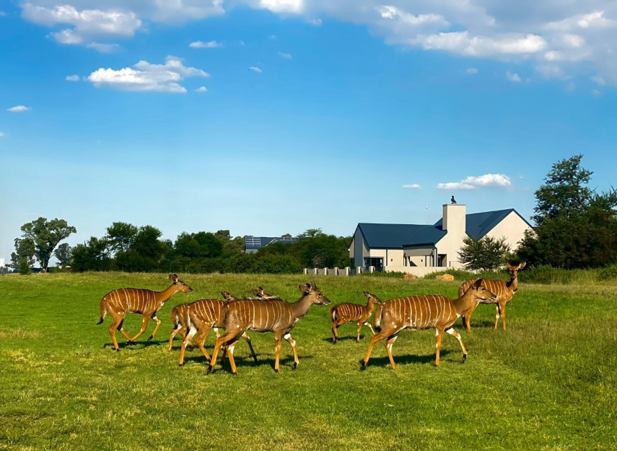 Commercial Property for Sale in Heron Banks Golf Estate Free State